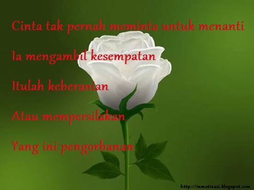 ross putih